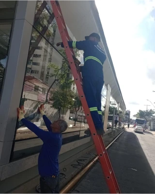 img11